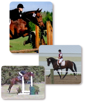 Tracy Dopko - Daventry Appraisal Services