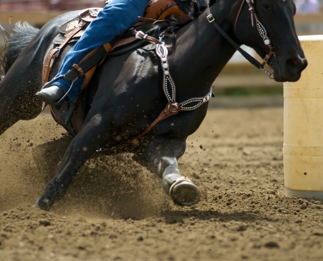 Daventry Appraisal Services