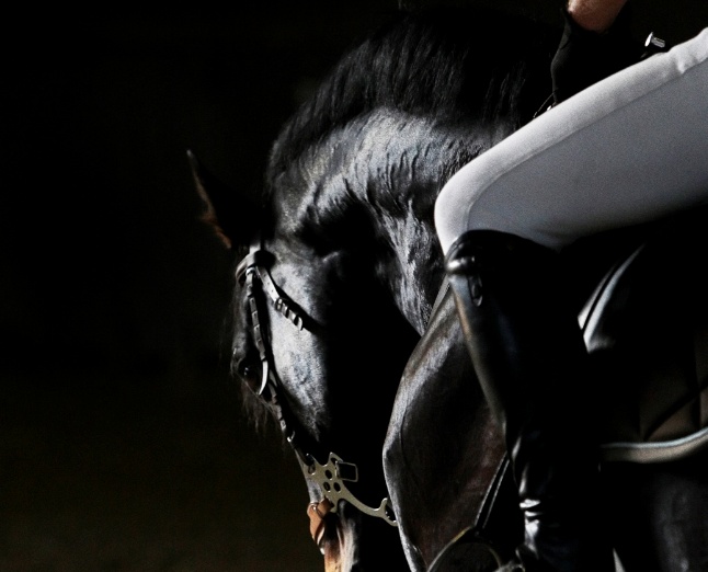 Daventry Appraisal Services