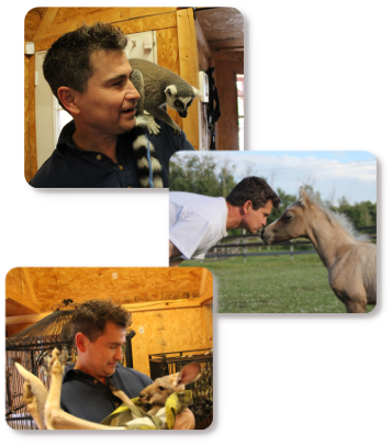 Tim Allen - Daventry Appraisal Services